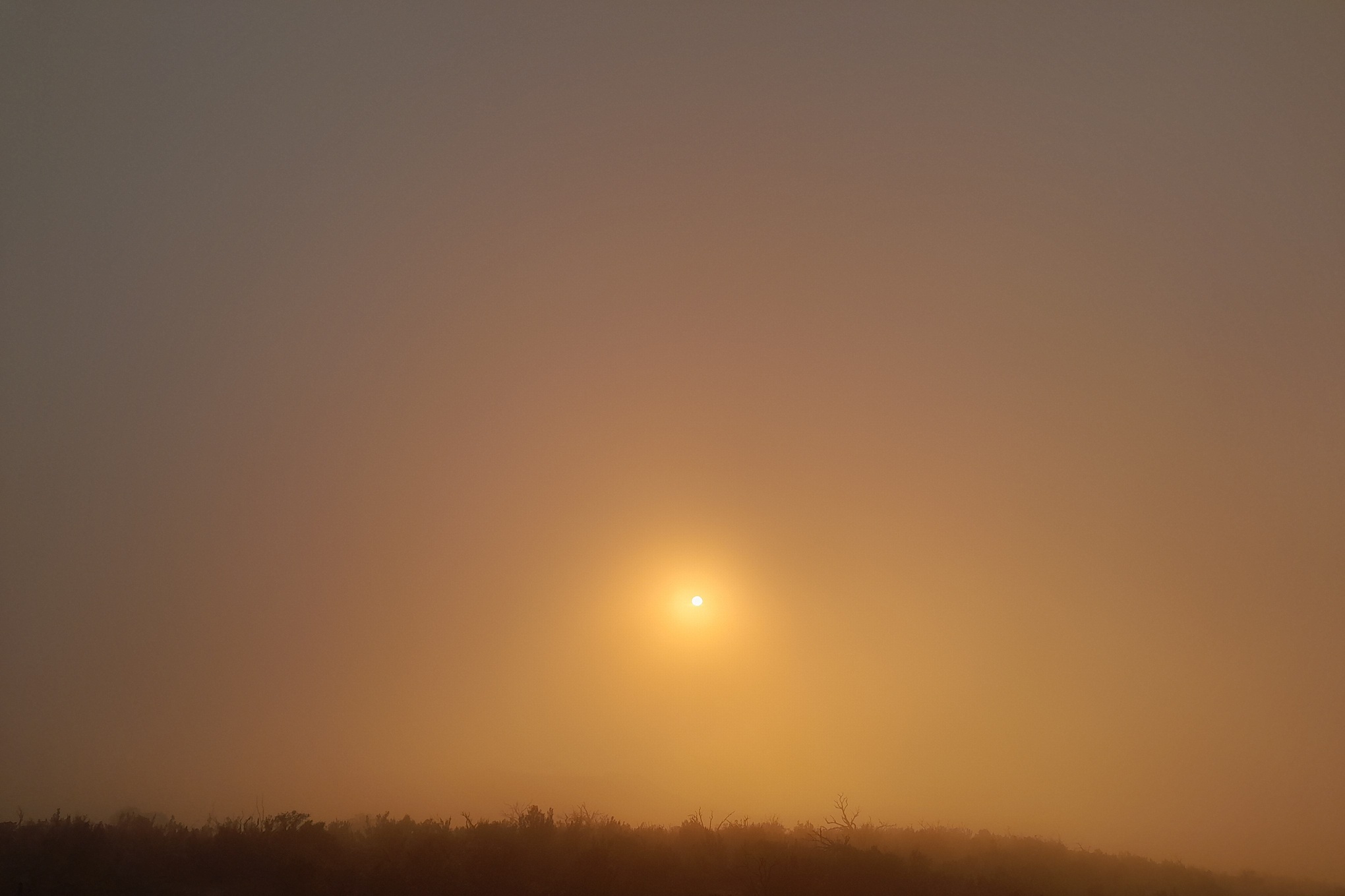 sunset in thick fog in La Réunion, with an intense sun piercing through dense mist